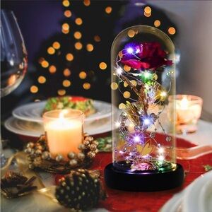 Enchanted Rose in Glass Dome with LED Lights